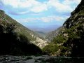 DSC03561