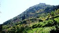 DSC03671