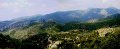 Kalamata3