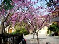 DSC03943