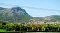 DSC04217
