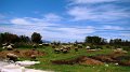 DSC05017