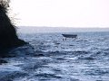 DSC05095