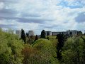 DSC05251