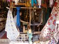DSC05501