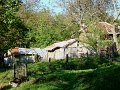 DSC05549
