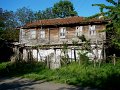 DSC05550