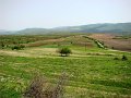 DSC05573