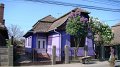 DSC06031