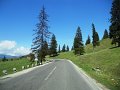 DSCN4042