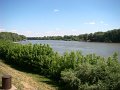 DSC06532