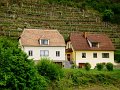 DSC07024