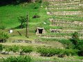 DSC07140