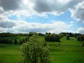 DSC07335
