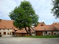 DSC07361