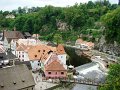 DSC07503