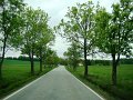 DSC07526