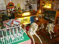 DSC08896