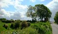 DSC09082