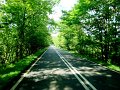 DSC09135