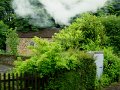 DSC09264