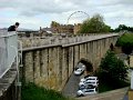 DSC09503