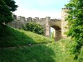 DSC09561