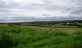 DSC09596