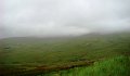 DSC09715