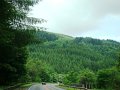 DSC00355