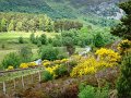 DSC00399