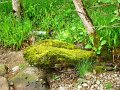 DSC00407