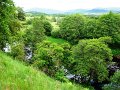 DSC00421