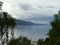 DSC00442