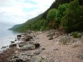 DSC00453