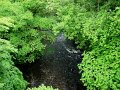 DSC00489