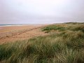 DSC00673