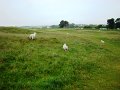 DSC00679