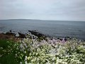 DSC00801