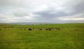 DSC00867