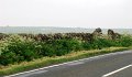 DSC00885