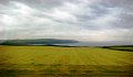 DSC00911