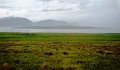 DSC00934