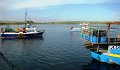 DSC01106