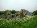 DSC02501