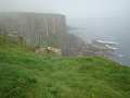 DSC02513
