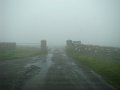 DSC02516