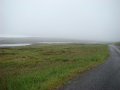 DSC02518
