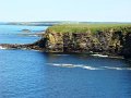 DSC02569