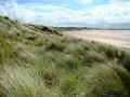 DSC02582